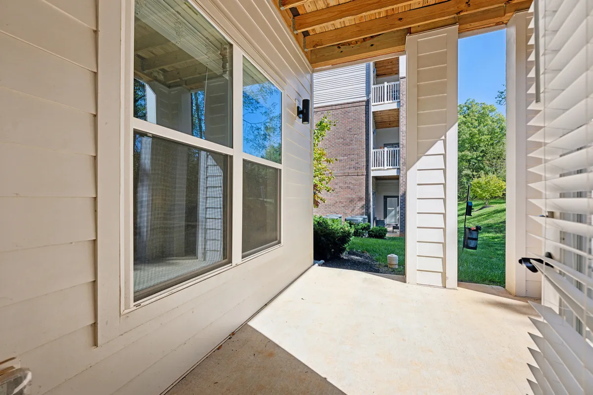 A view from the exterior showing a doorway and windows surrounded by lush greenery. Soft sunlight pours in, evoking a sense of peace and a gentle transition between inside comfort and the lively world outside.